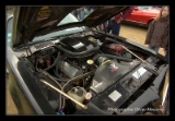 V8 Pontiac Trans Am 1978.DNG